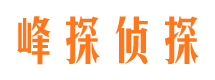 望江侦探公司